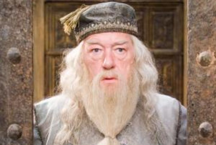 Dumbledore Means Bumblebee In English